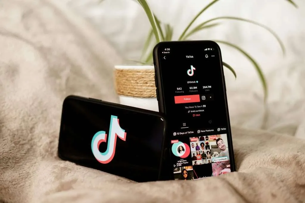 TikTok Video Marketing Services in Kathmandu