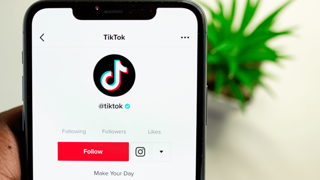 TikTok Video Marketing Services in Kathmandu